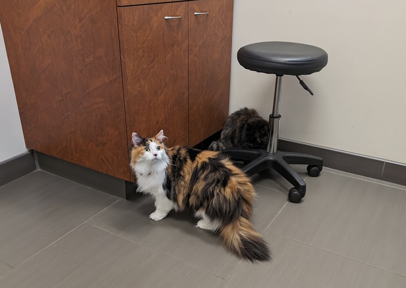 Carousel Slide 4: We offer diagnostic services